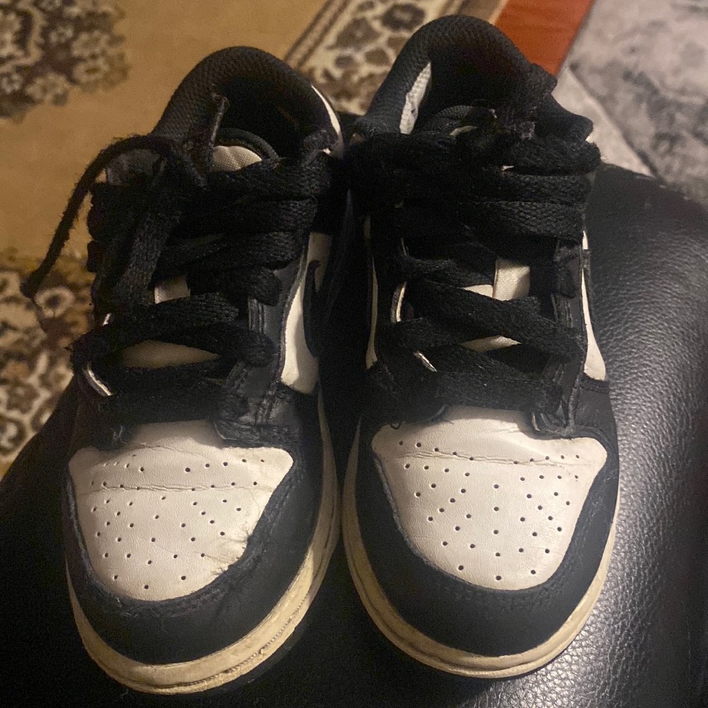 12c Nike Dunk Low